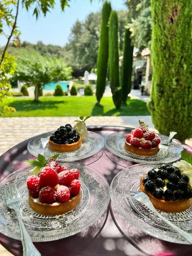 Frühstückspension Villa Hautvallon - Peaceful Escape In Provence Gordes